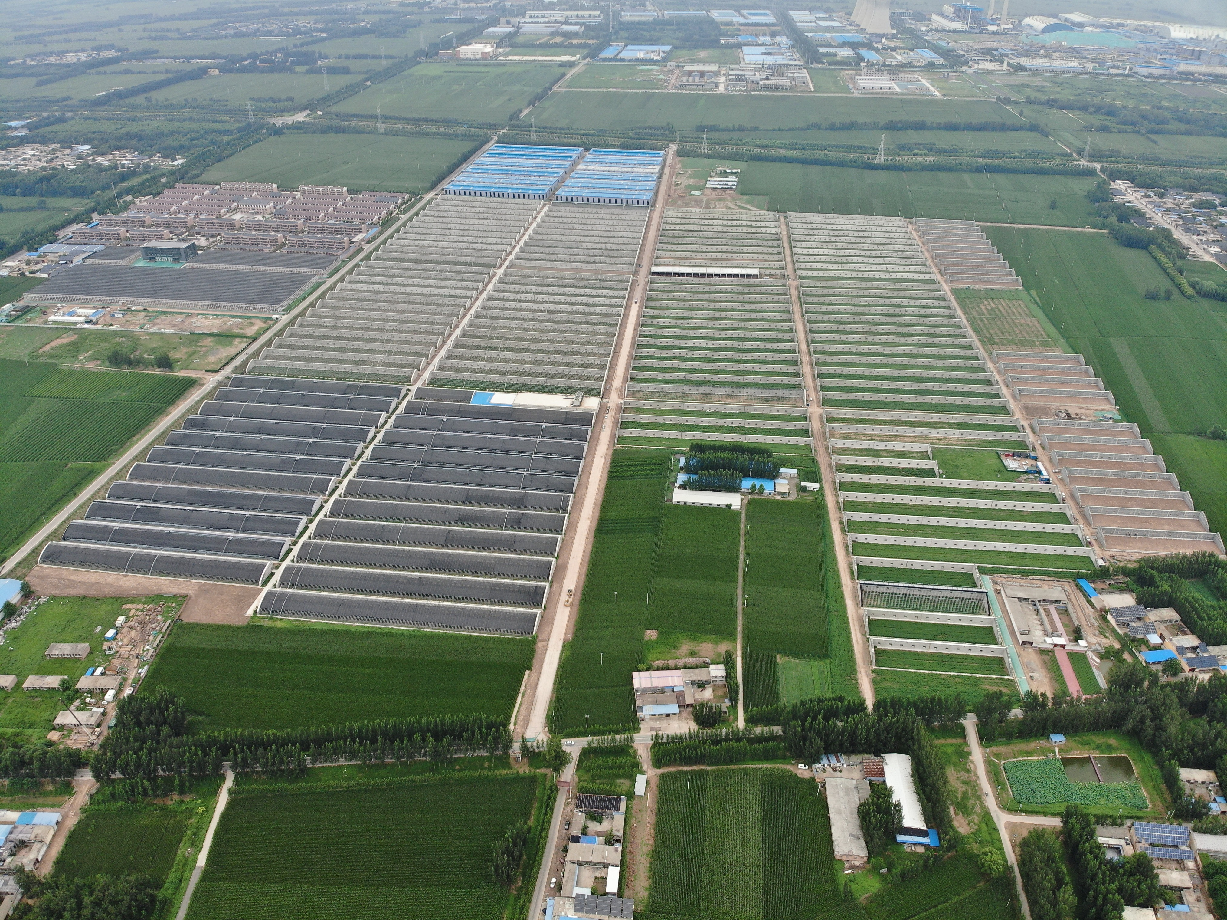 水肥一體化 水肥一體化